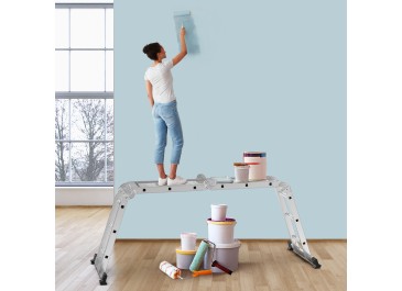 AMHANCIBLE Multi-Purpose Aluminium Ladder