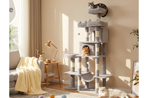 Cat Tree Buying Guide: Stability for Multi-Cat Homes